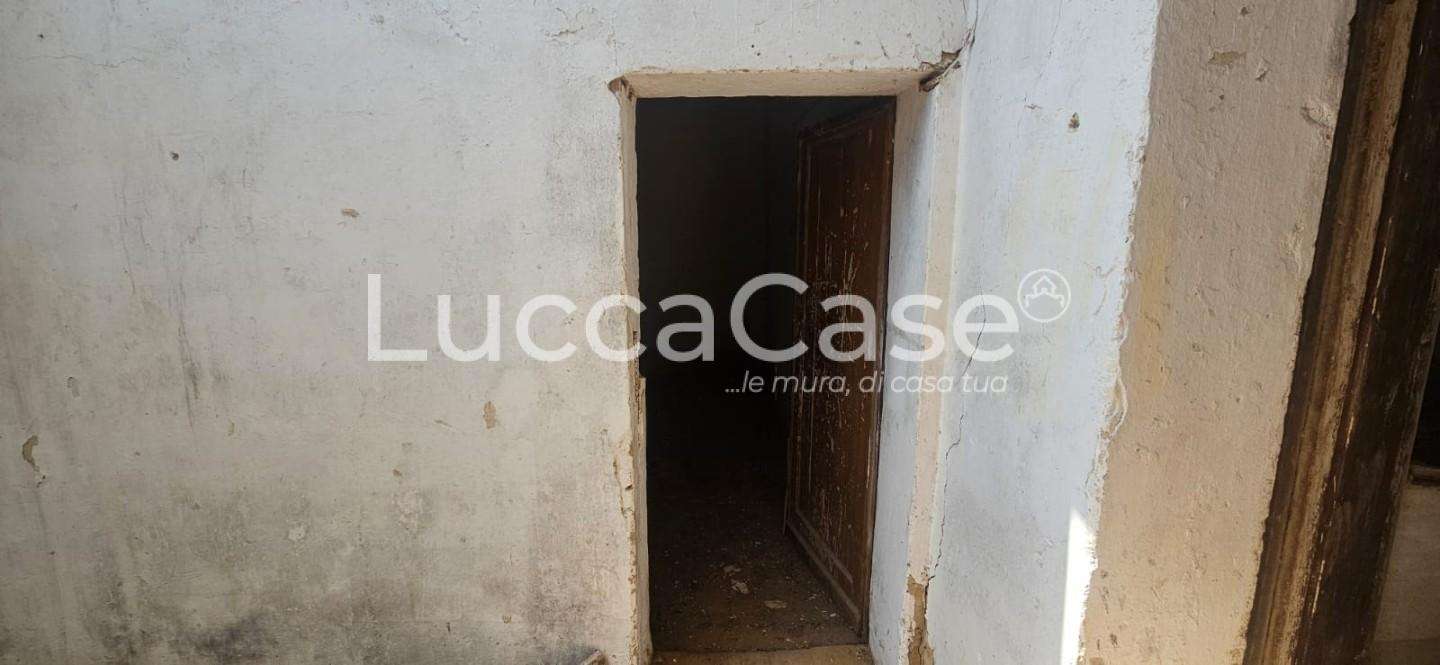  - foto 59