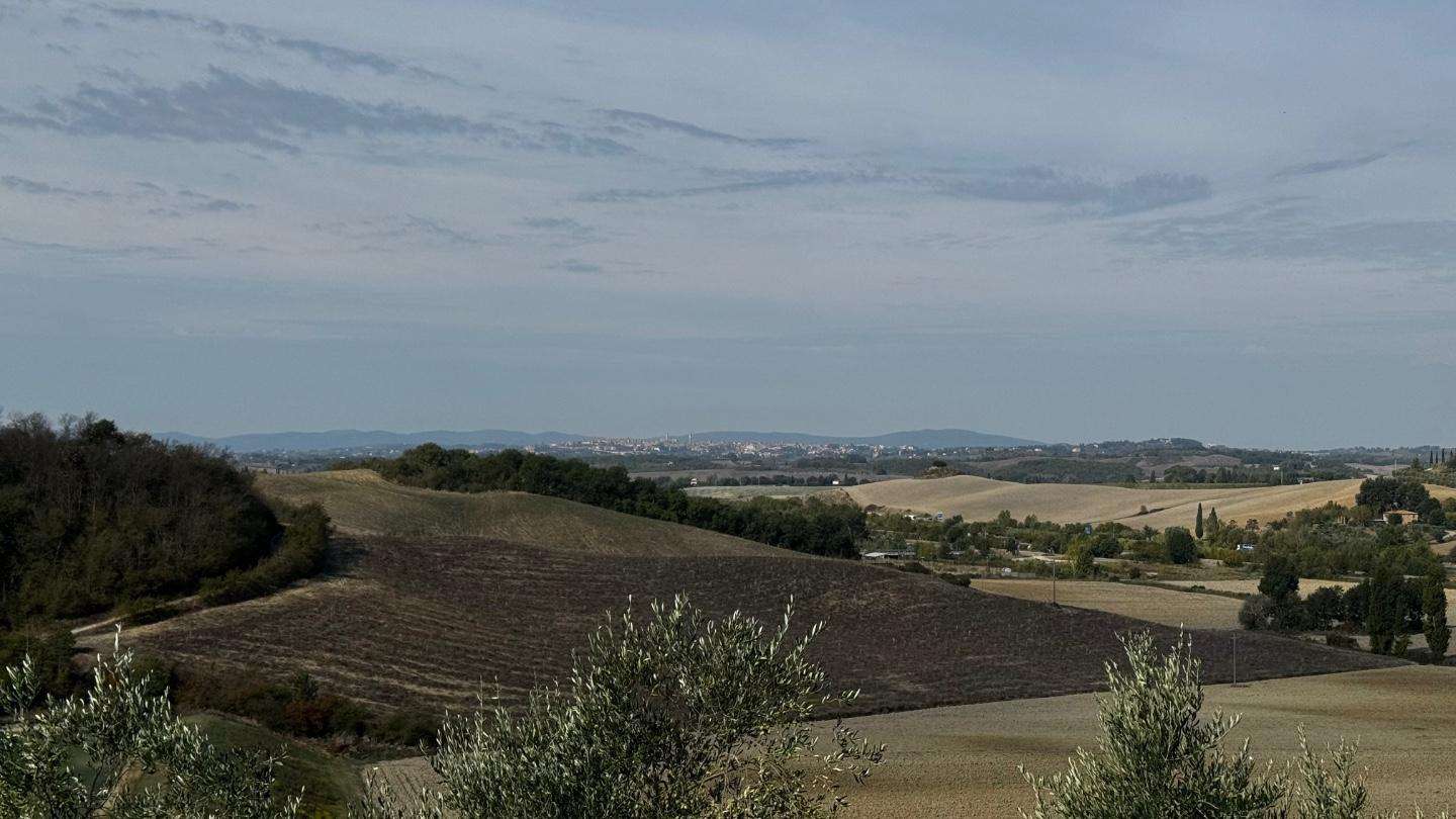  - foto 42