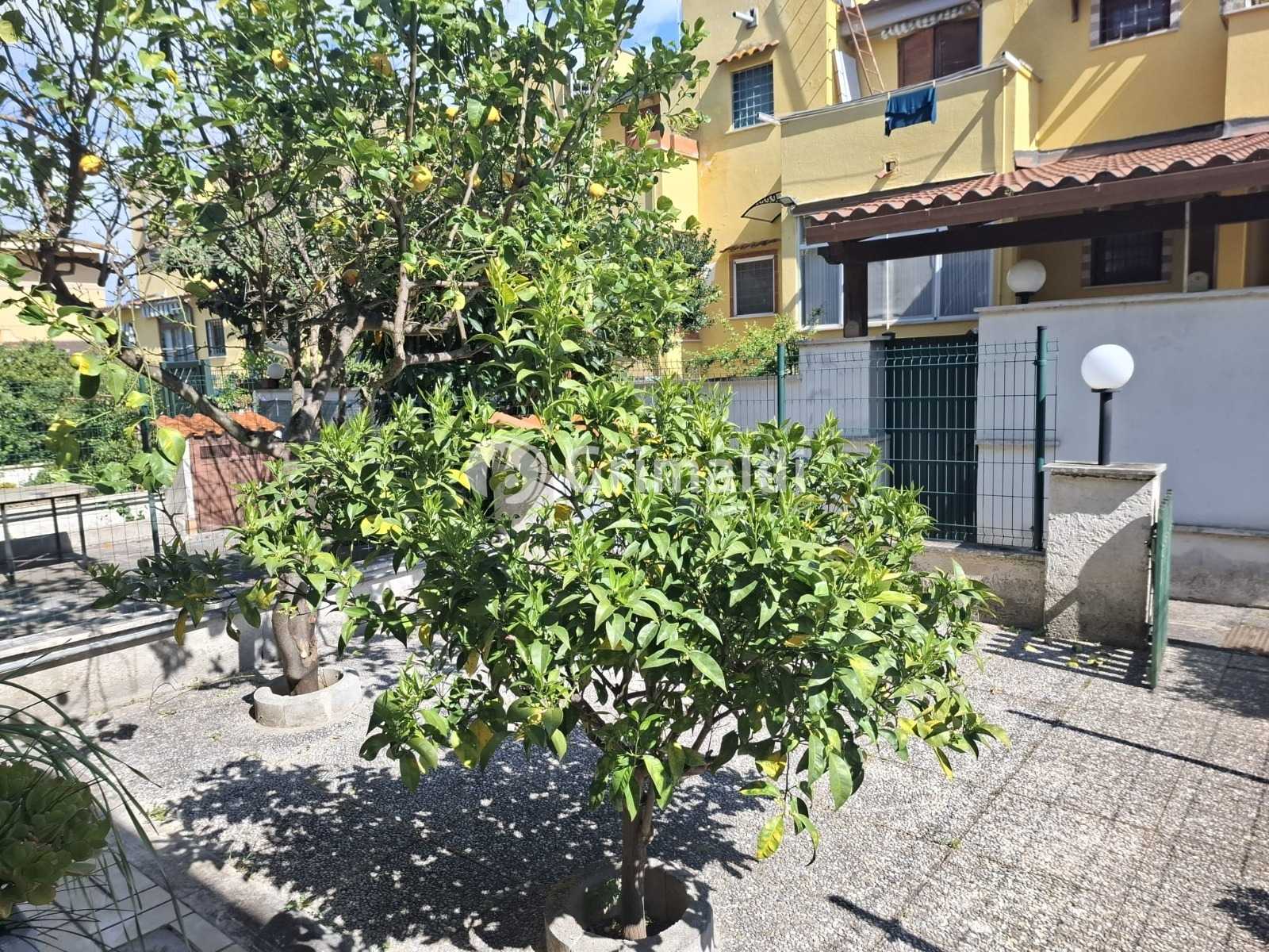  - foto 12