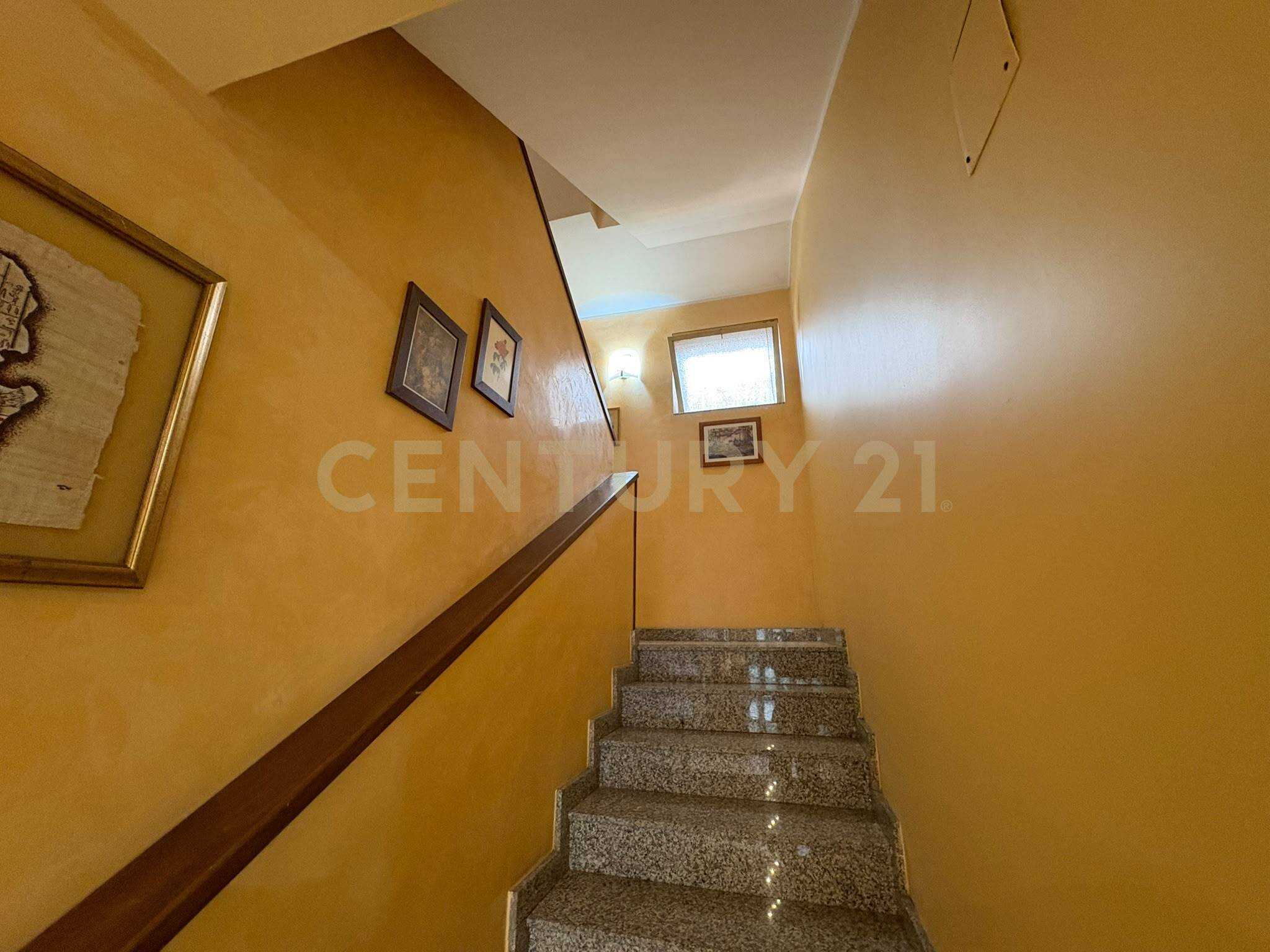  - foto 24