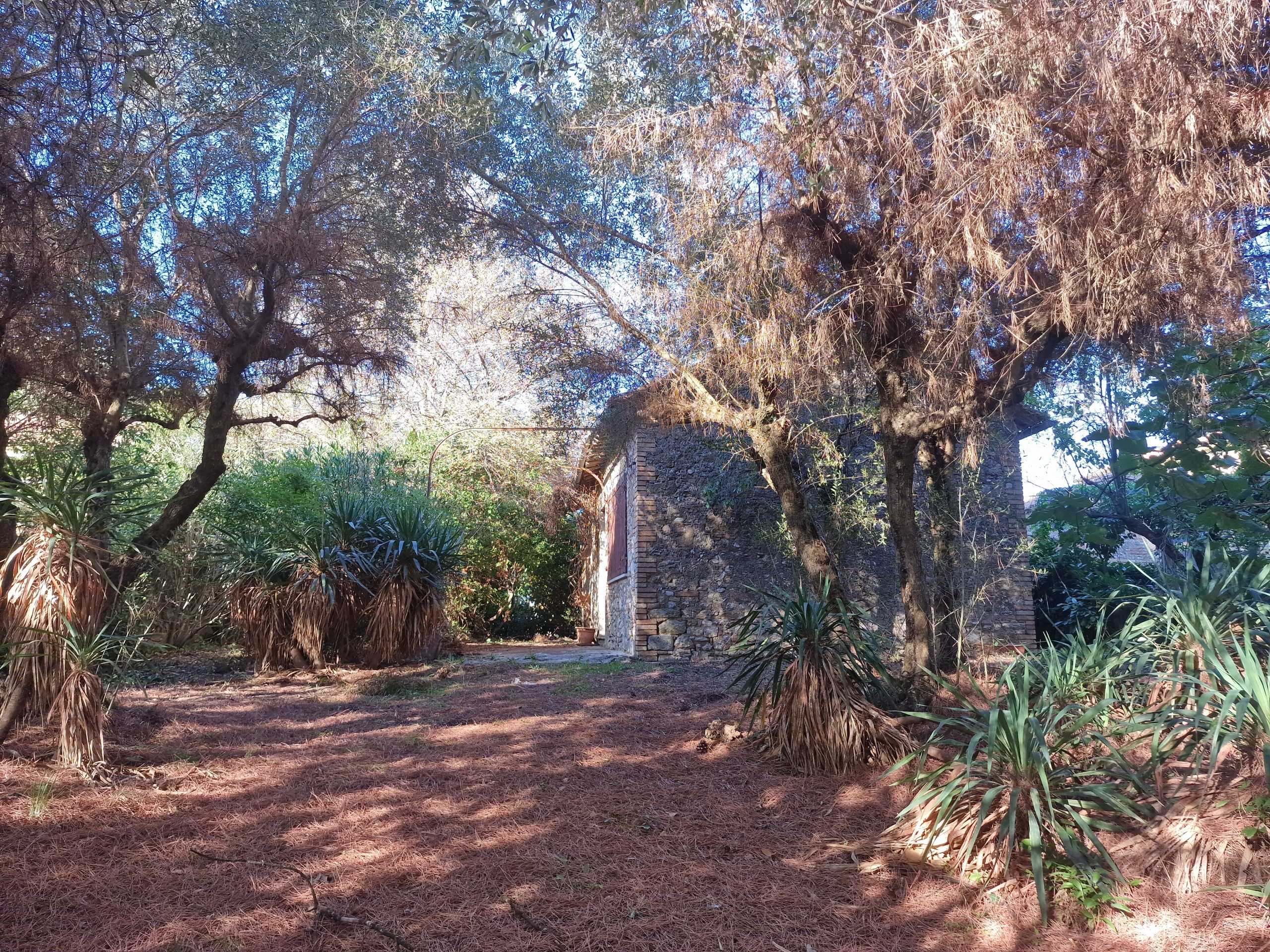  - foto 26