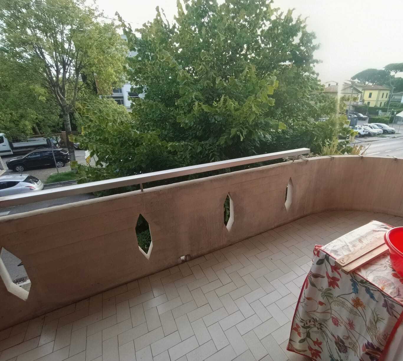  - foto 13
