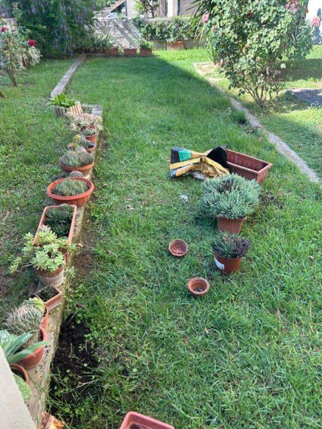  - foto 13