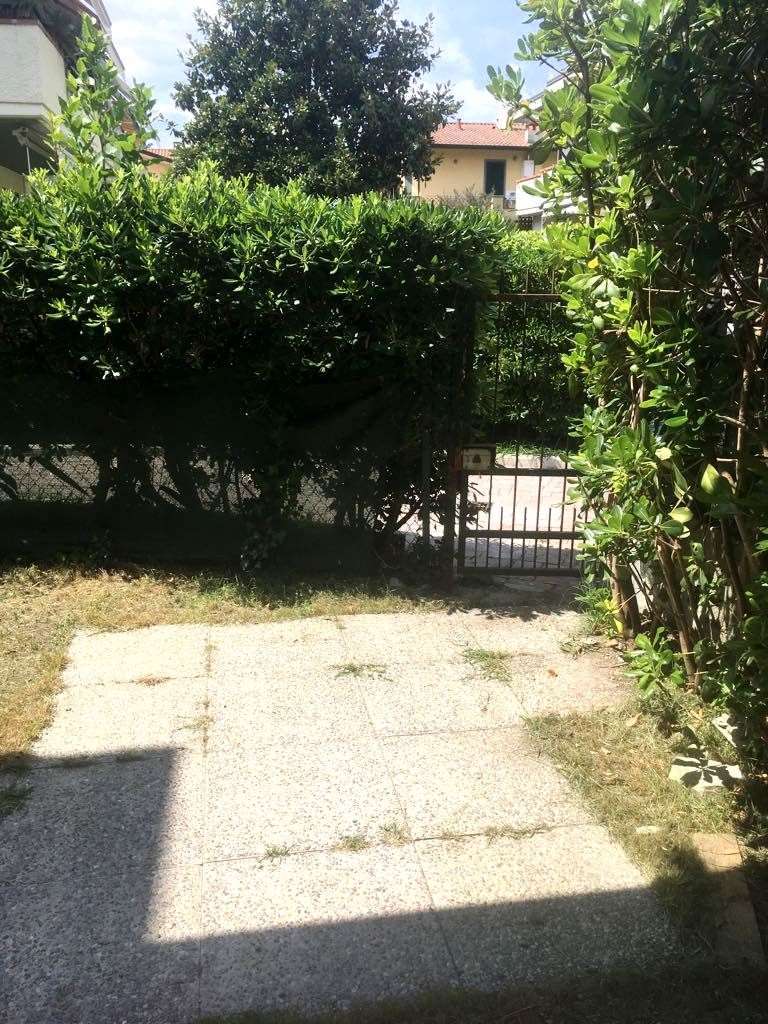  - foto 20