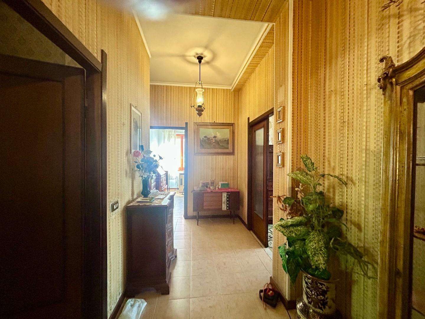  - foto 11