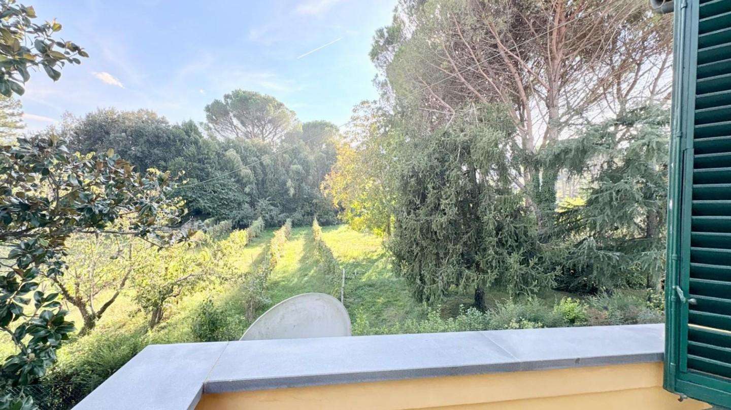  - foto 23