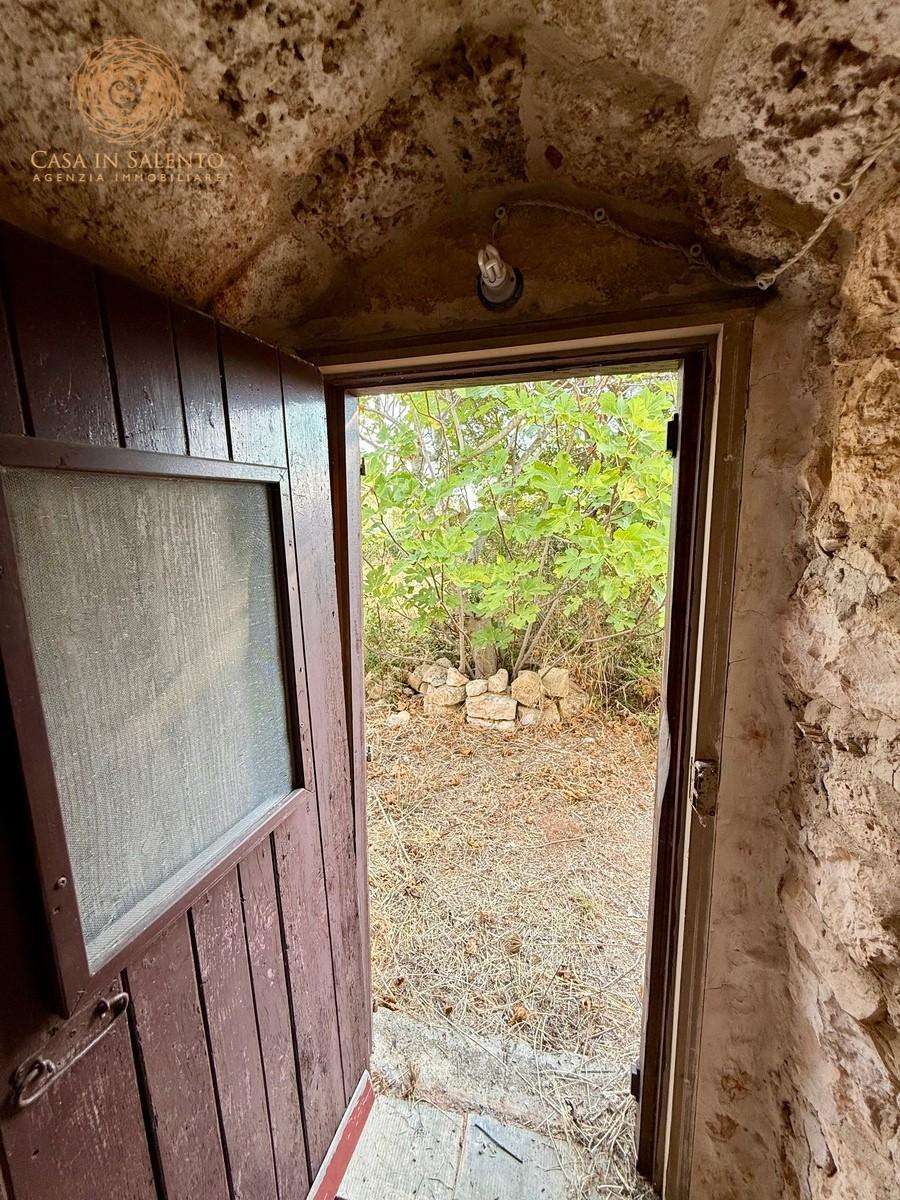  - foto 25