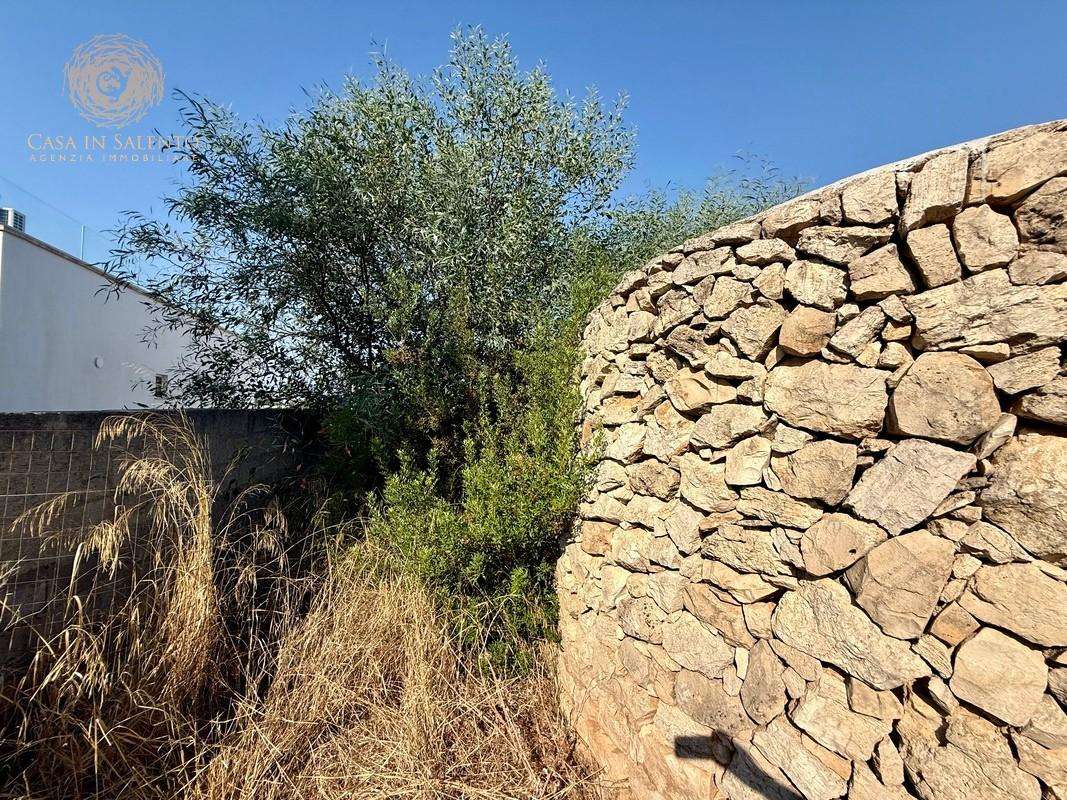  - foto 26