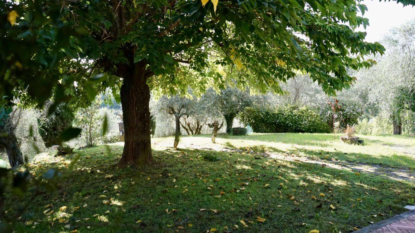  - foto 36