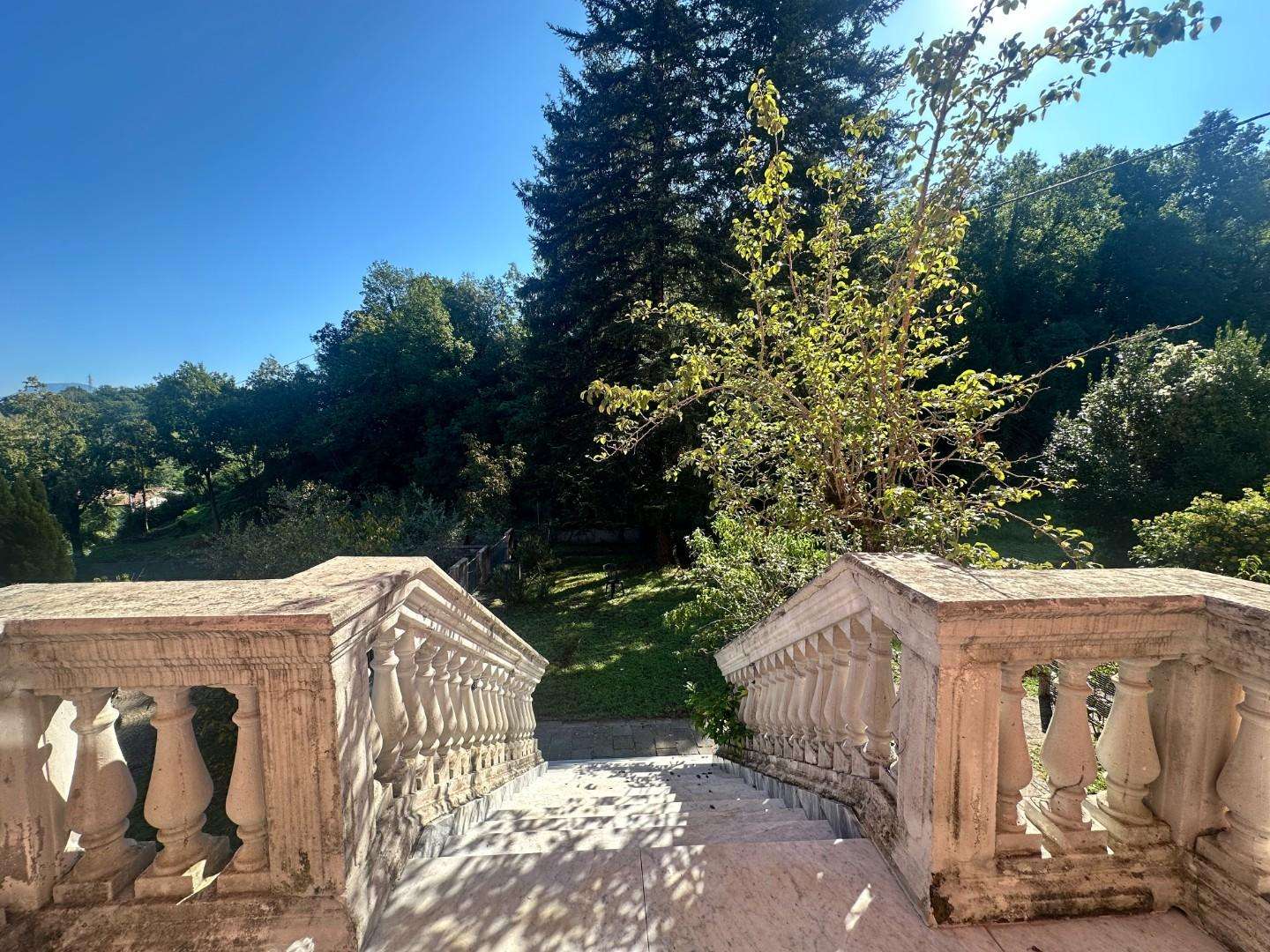  - foto 17