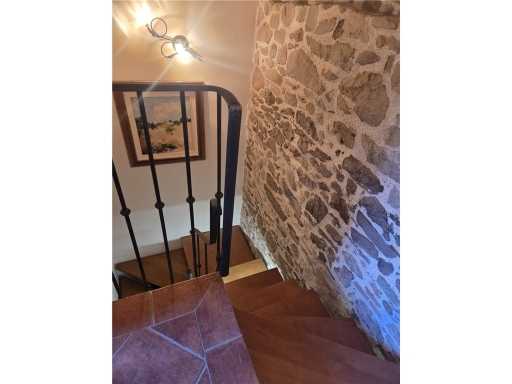  - foto 24