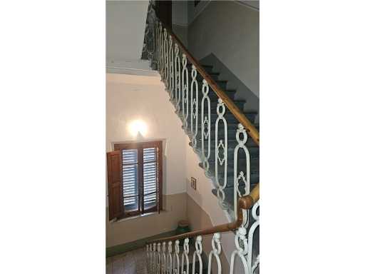  - foto 13