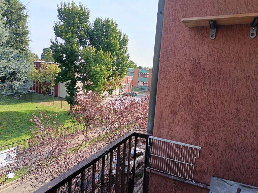  - foto 11