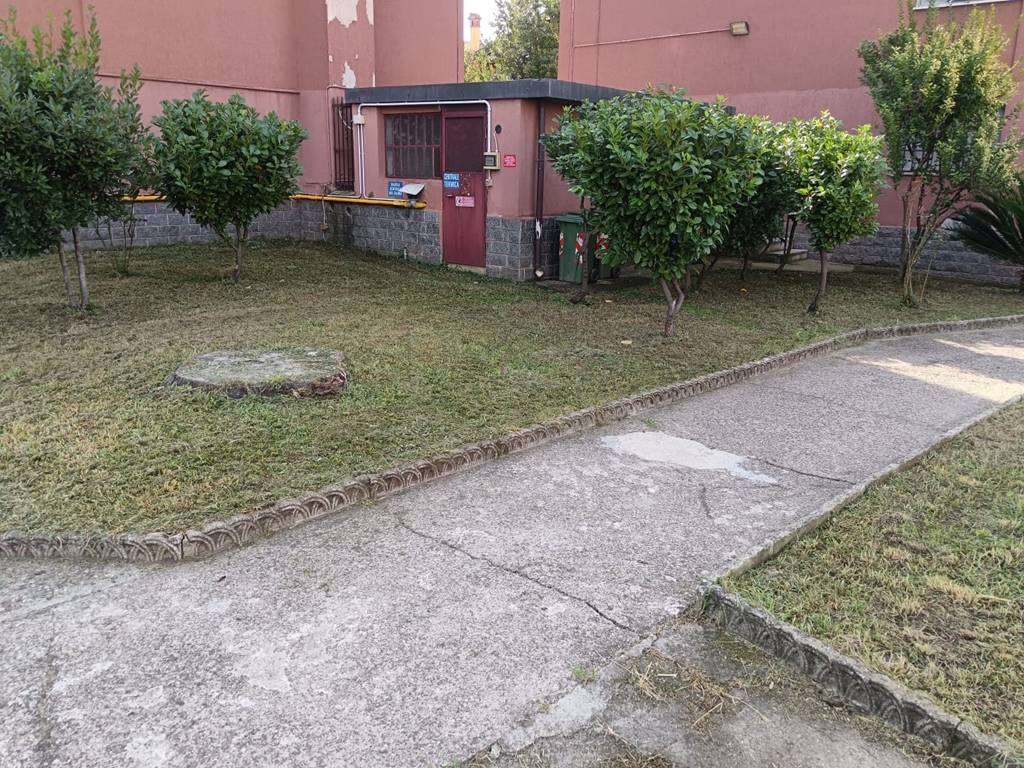  - foto 2