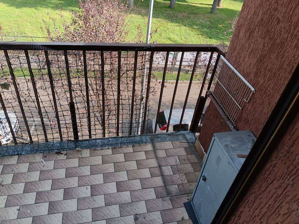  - foto 8
