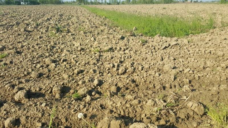 Terreno agricolo Via Fossalato, Portogruaro