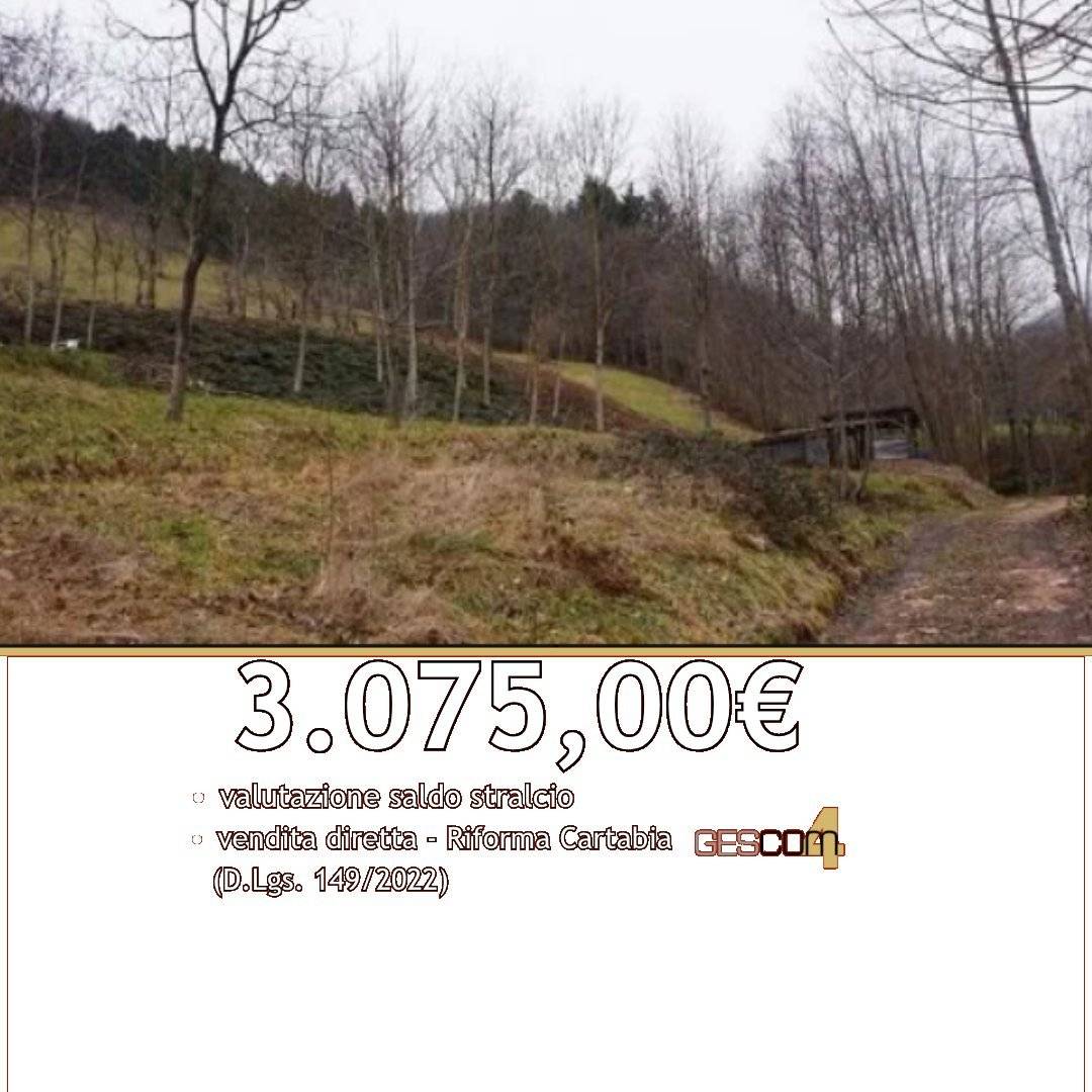 Terreno agricolo Via Gisbenti, Valli del Pasubio