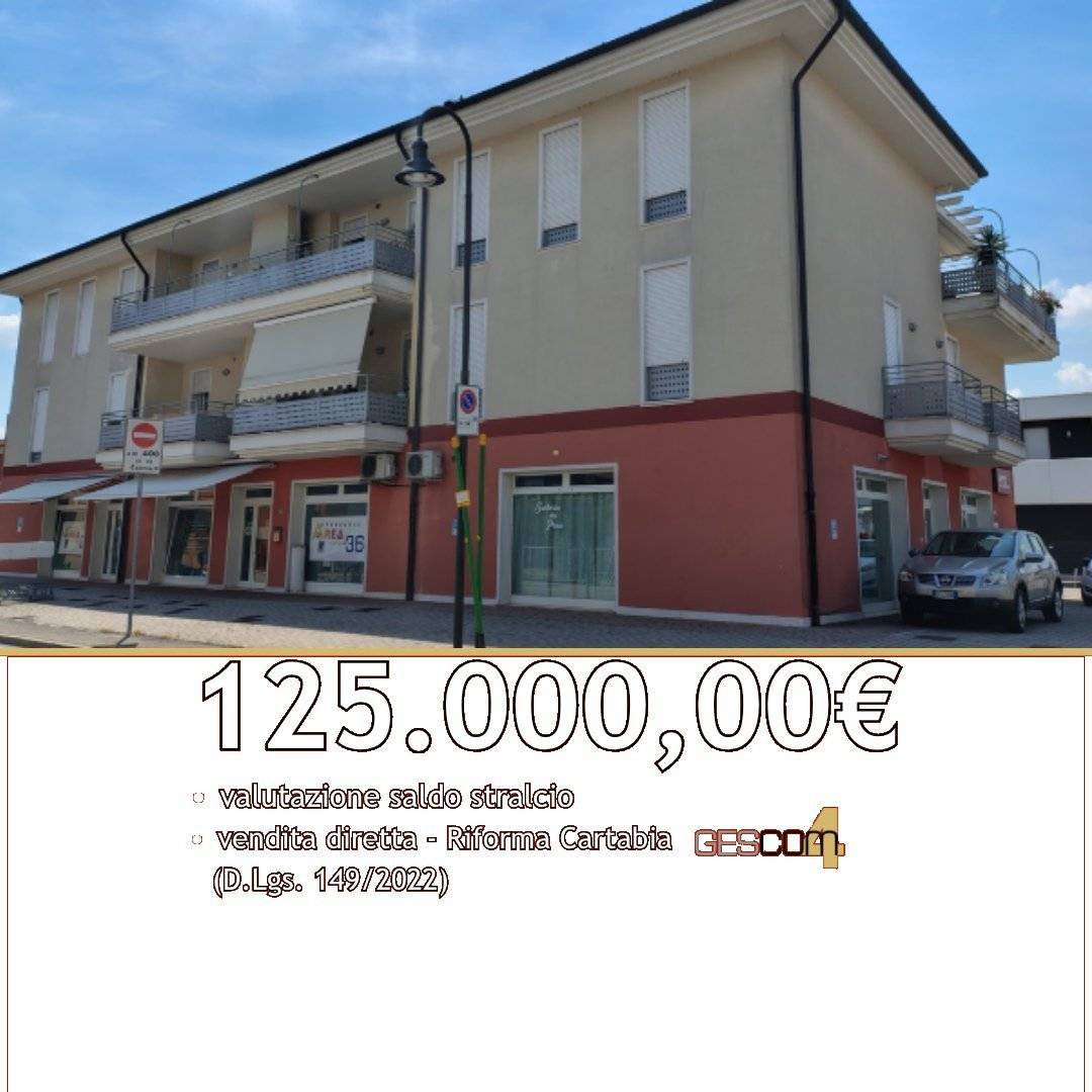 Appartamento Via II Risorgimento, Camisano Vicentino