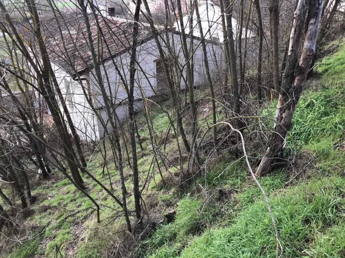  - foto 5