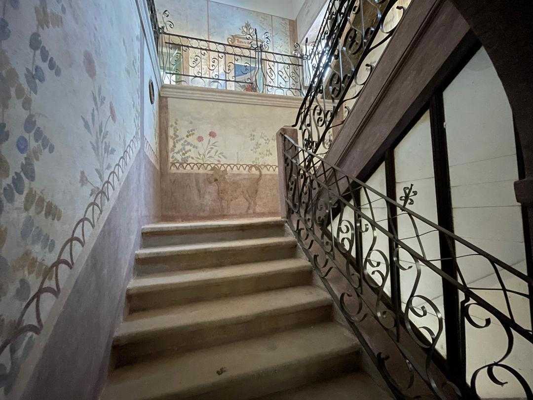  - foto 5