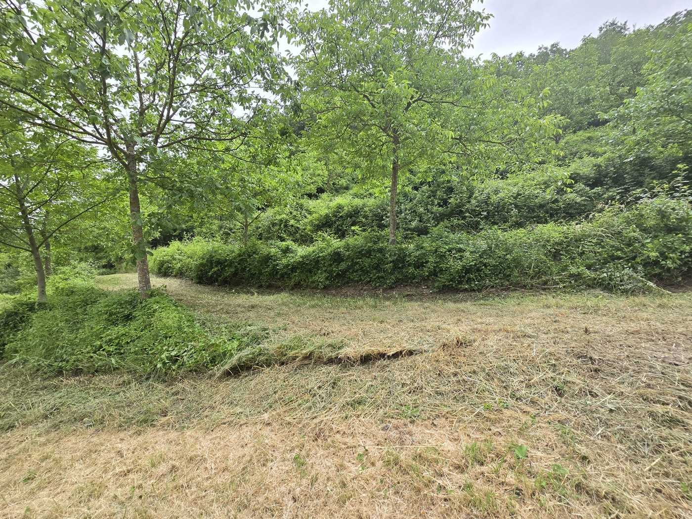  - foto 16