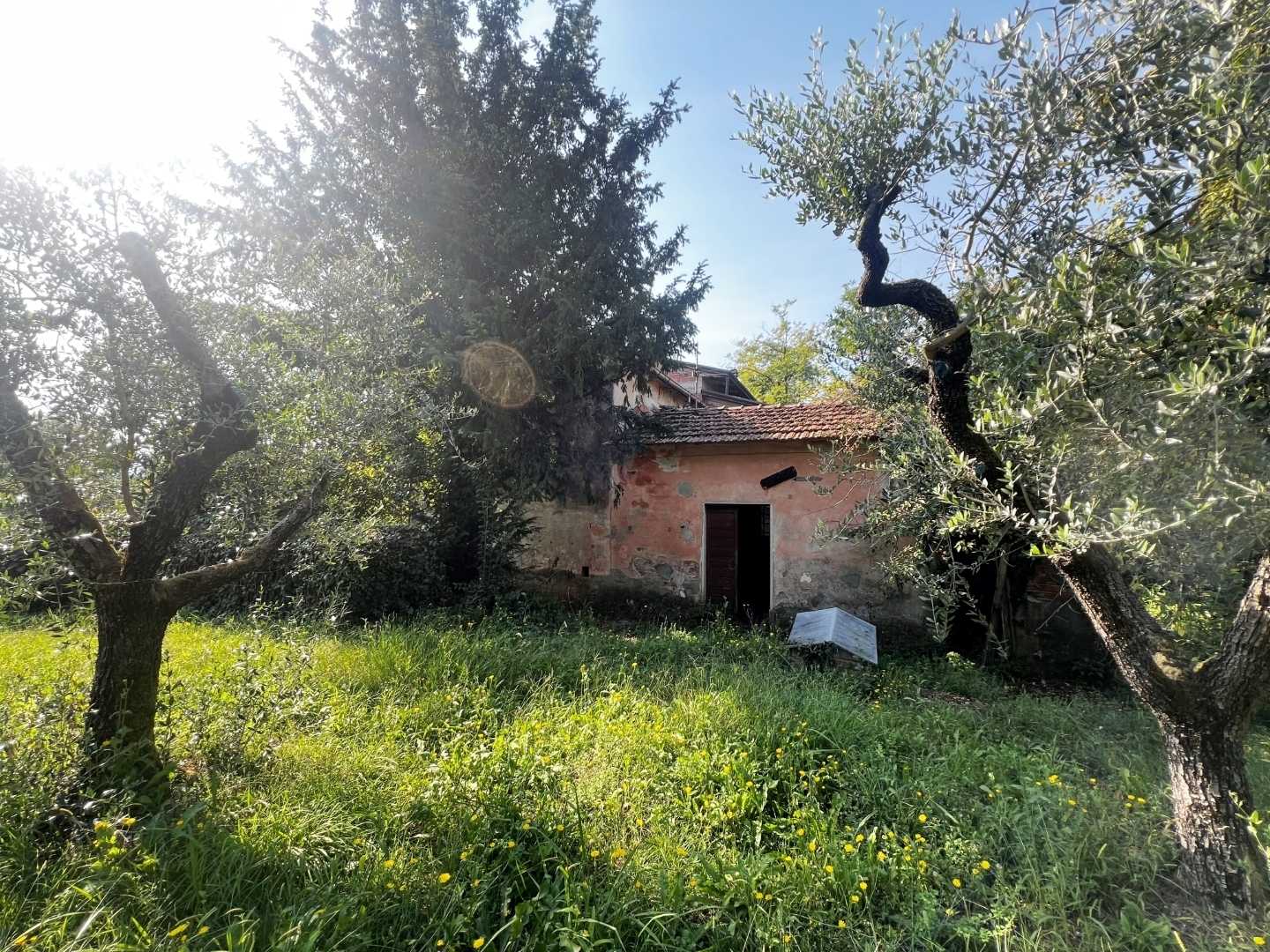  - foto 19