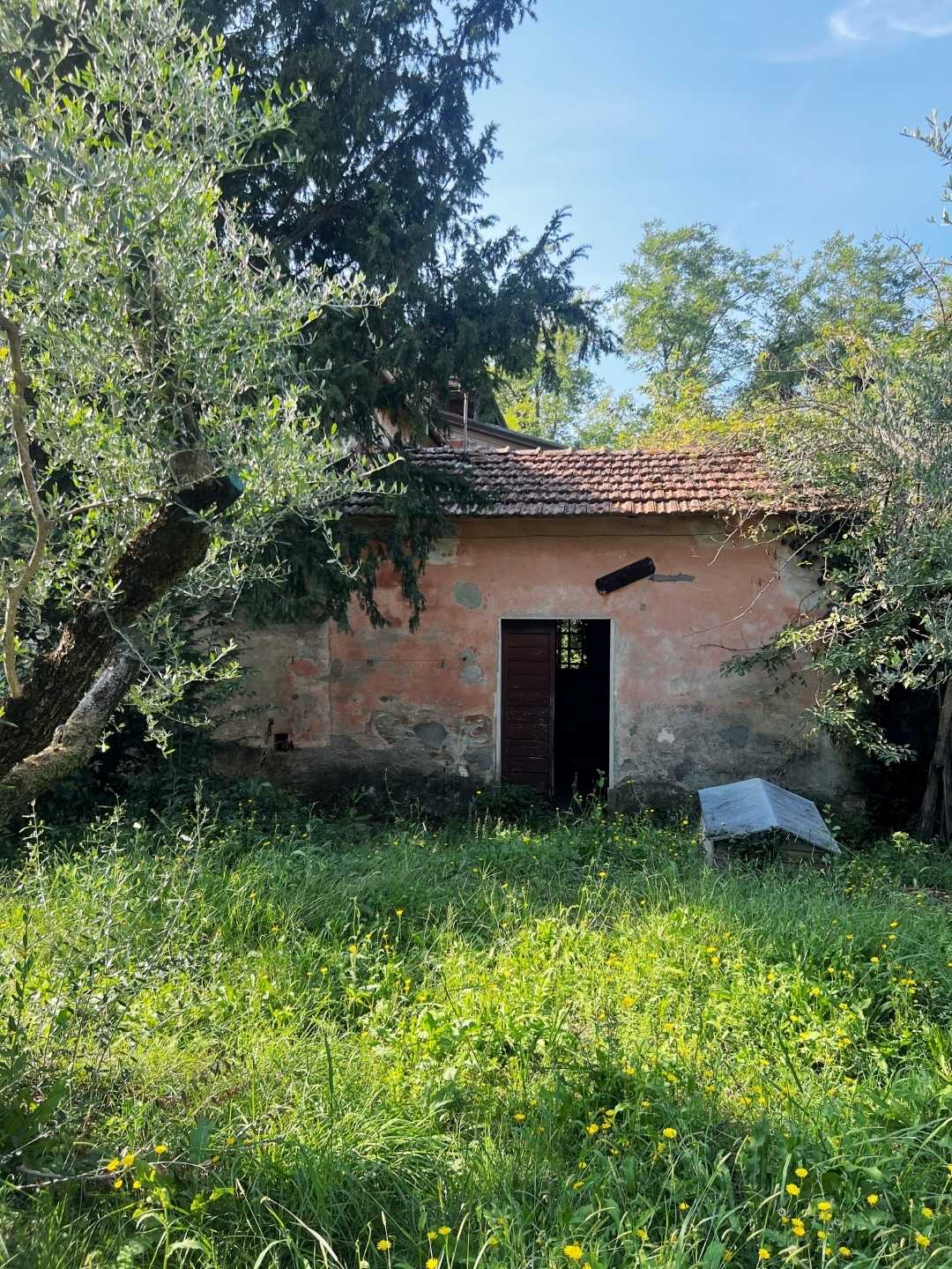  - foto 6