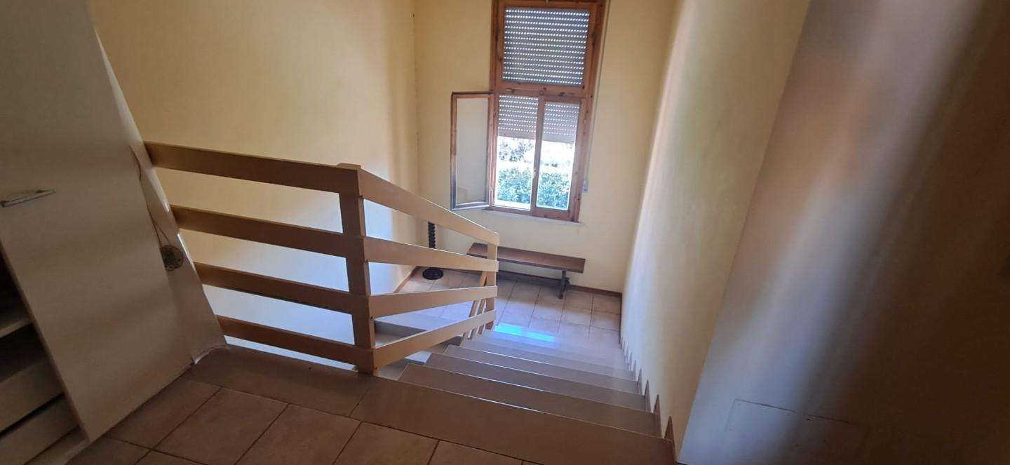  - foto 21