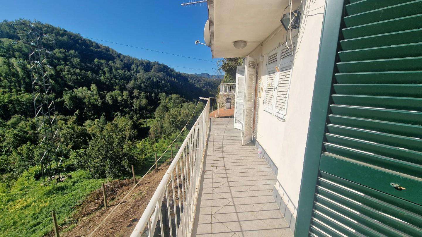  - foto 19