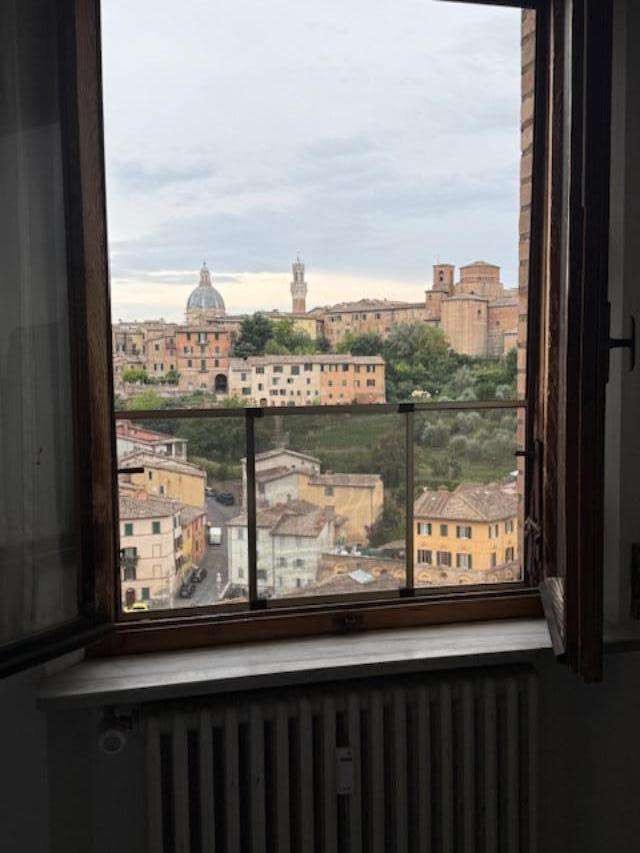  - foto 31