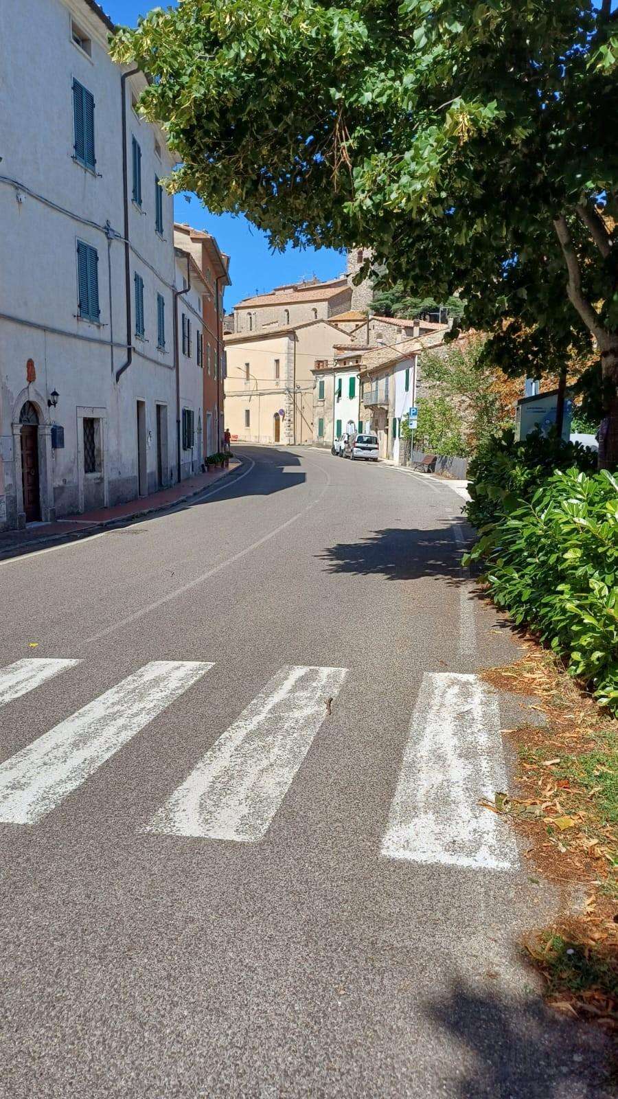  - foto 15