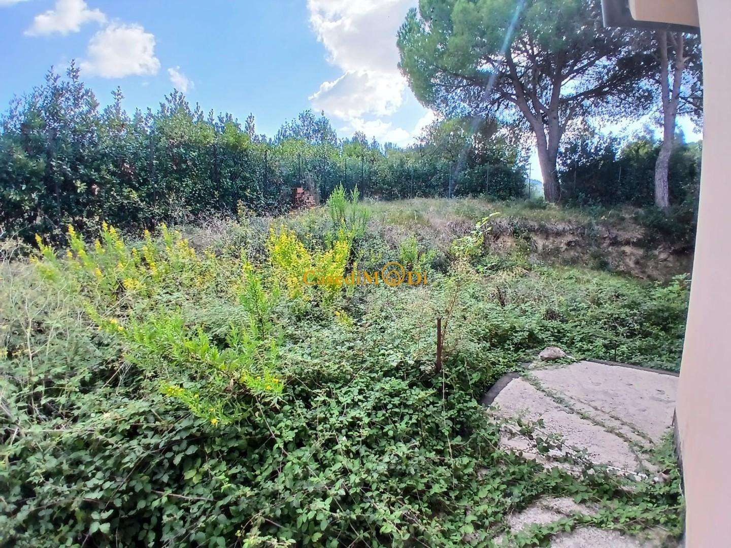  - foto 10