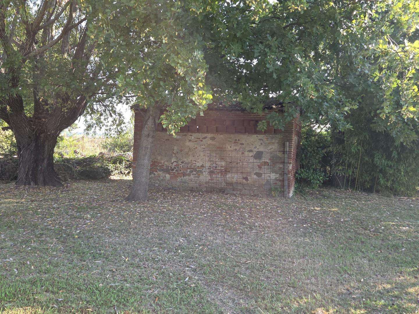  - foto 17