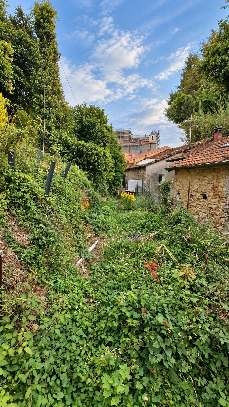  - foto 36