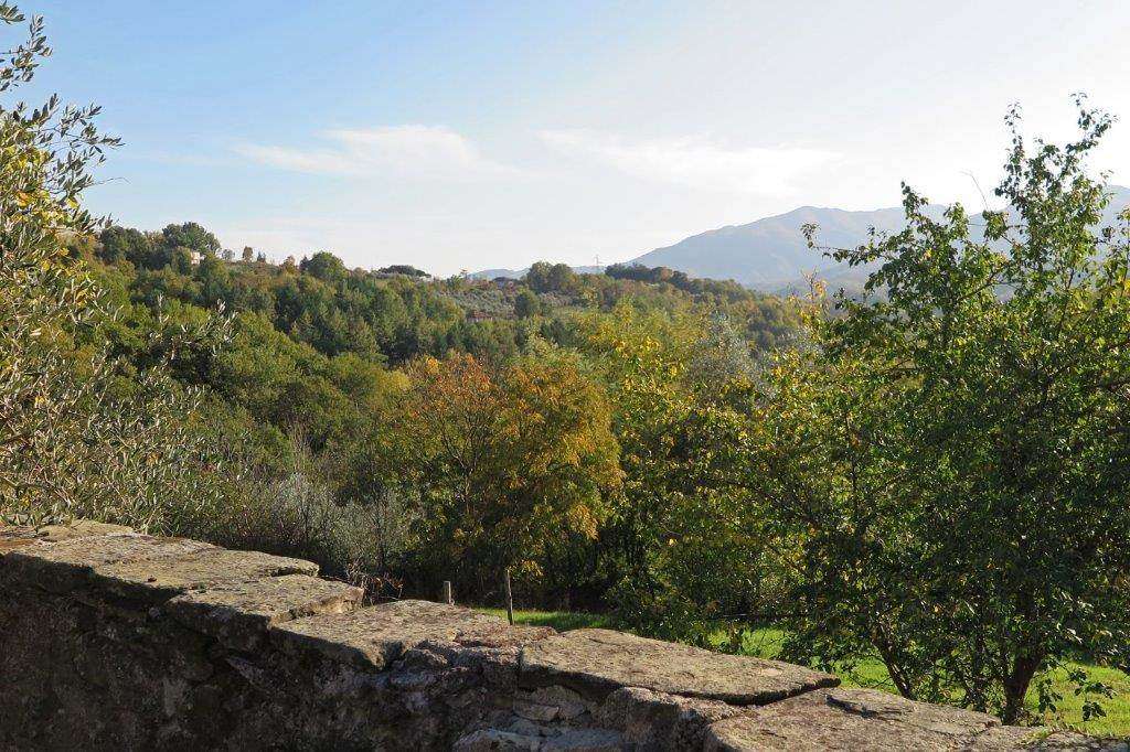  - foto 14