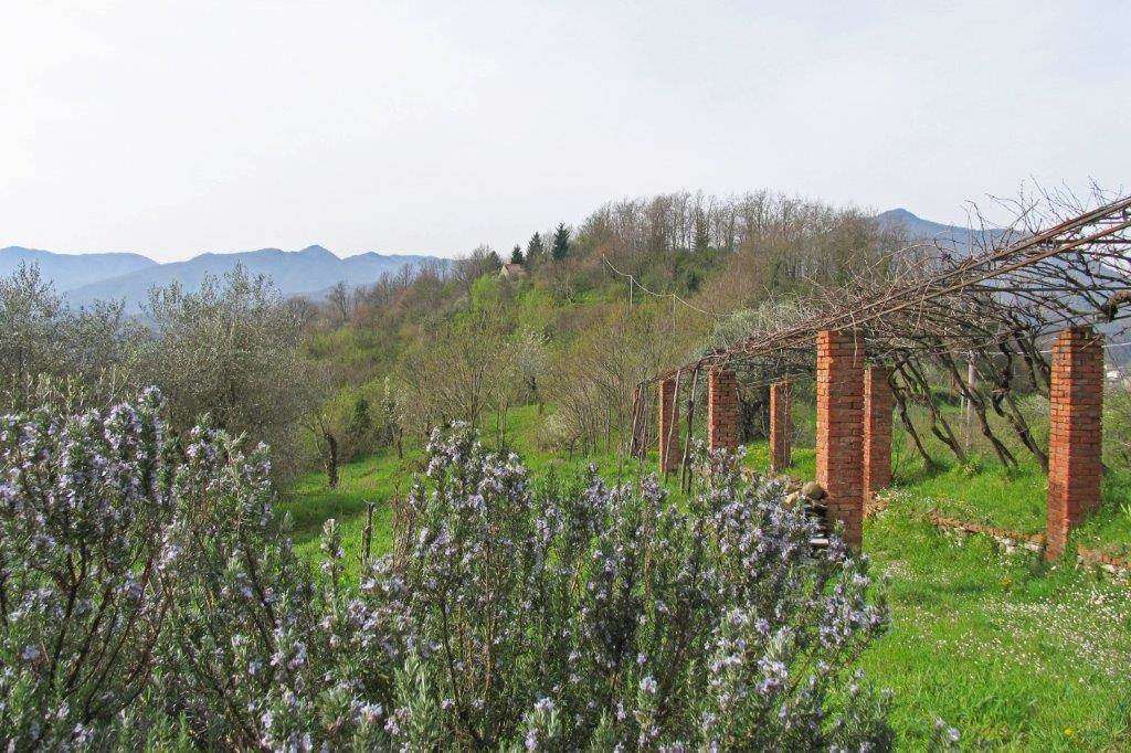  - foto 5