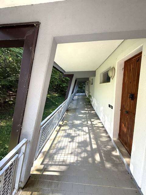  - foto 13