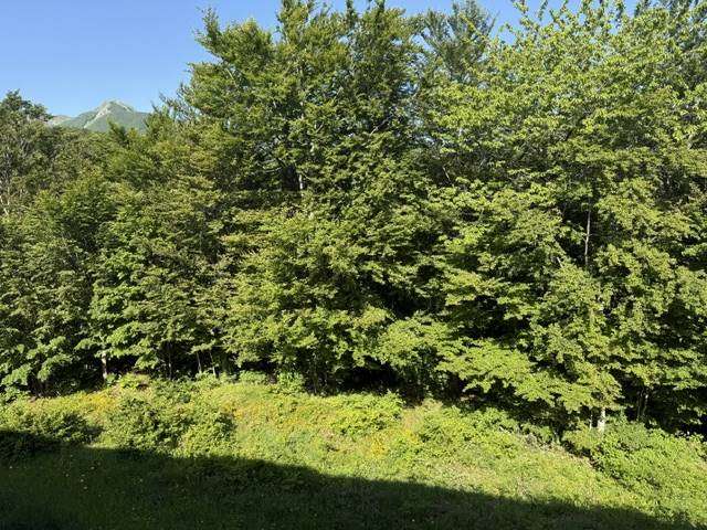  - foto 15