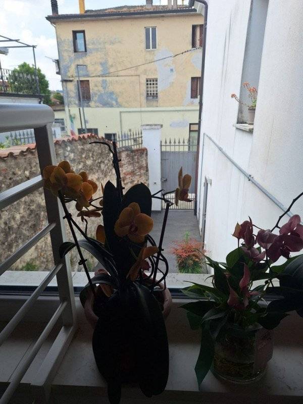  - foto 8