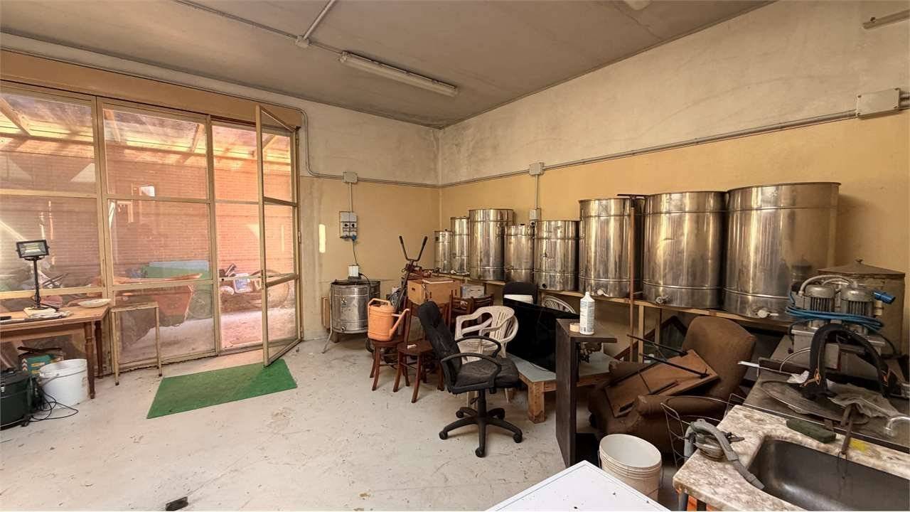  - foto 5