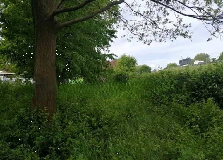  - foto 10