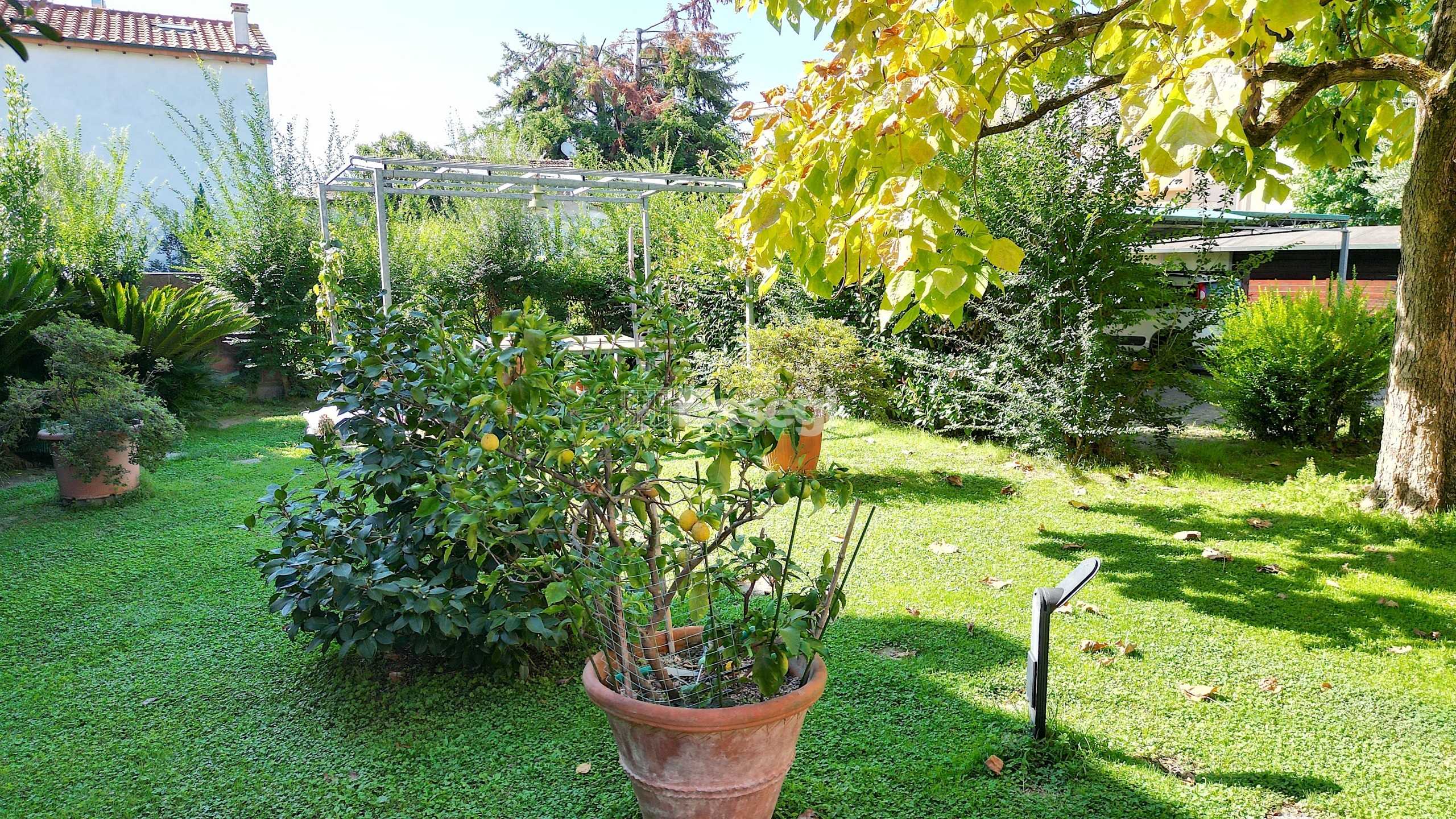  - foto 5