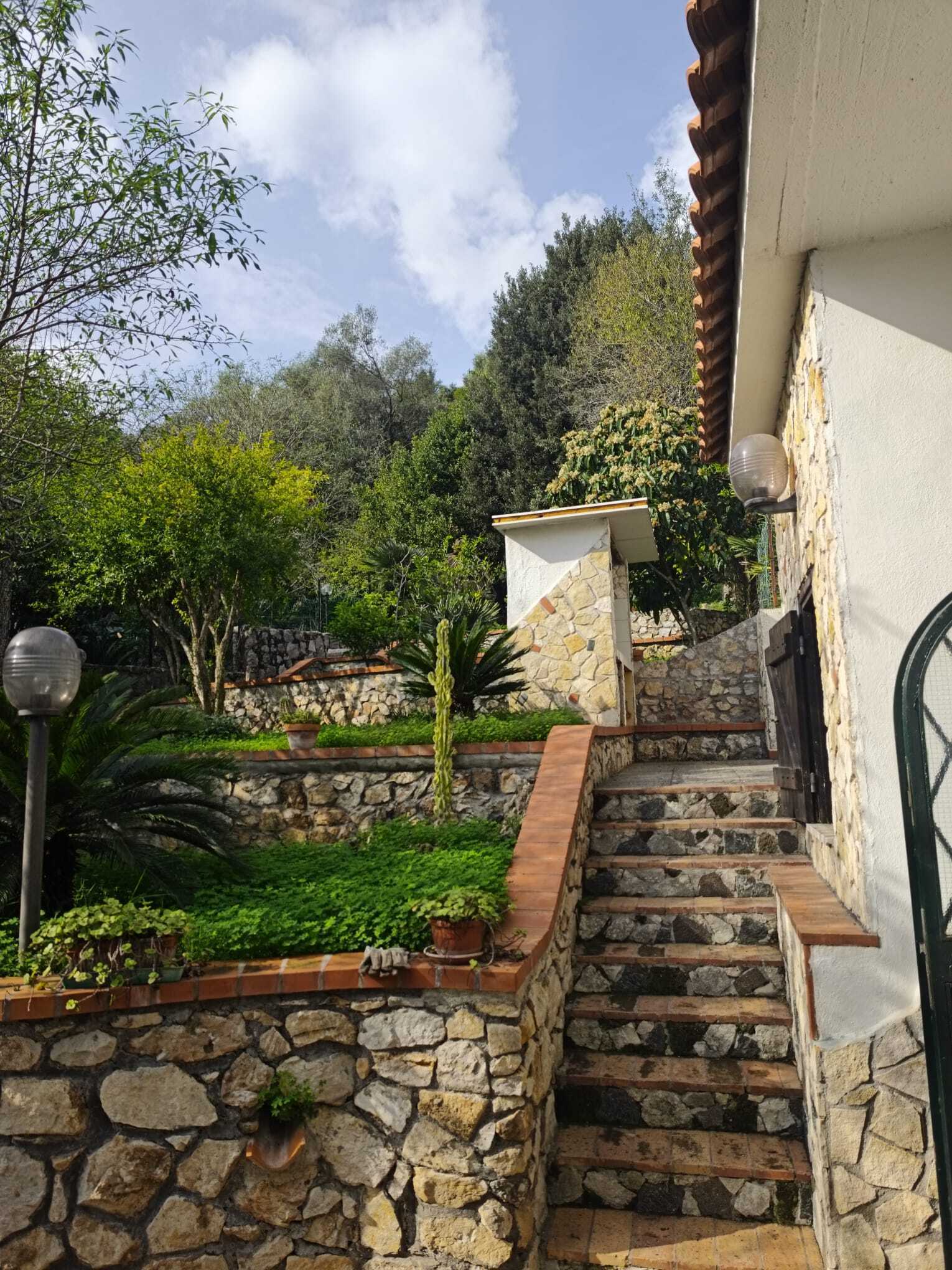  - foto 13
