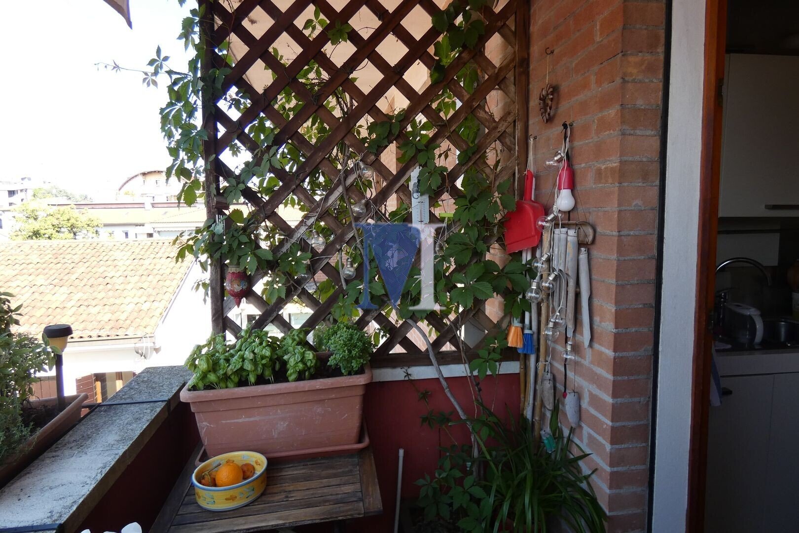  - foto 14