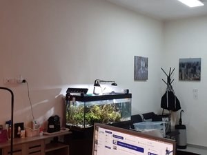  - foto 4