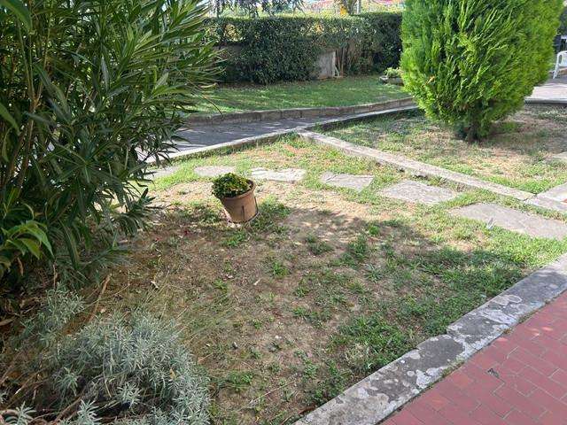  - foto 19