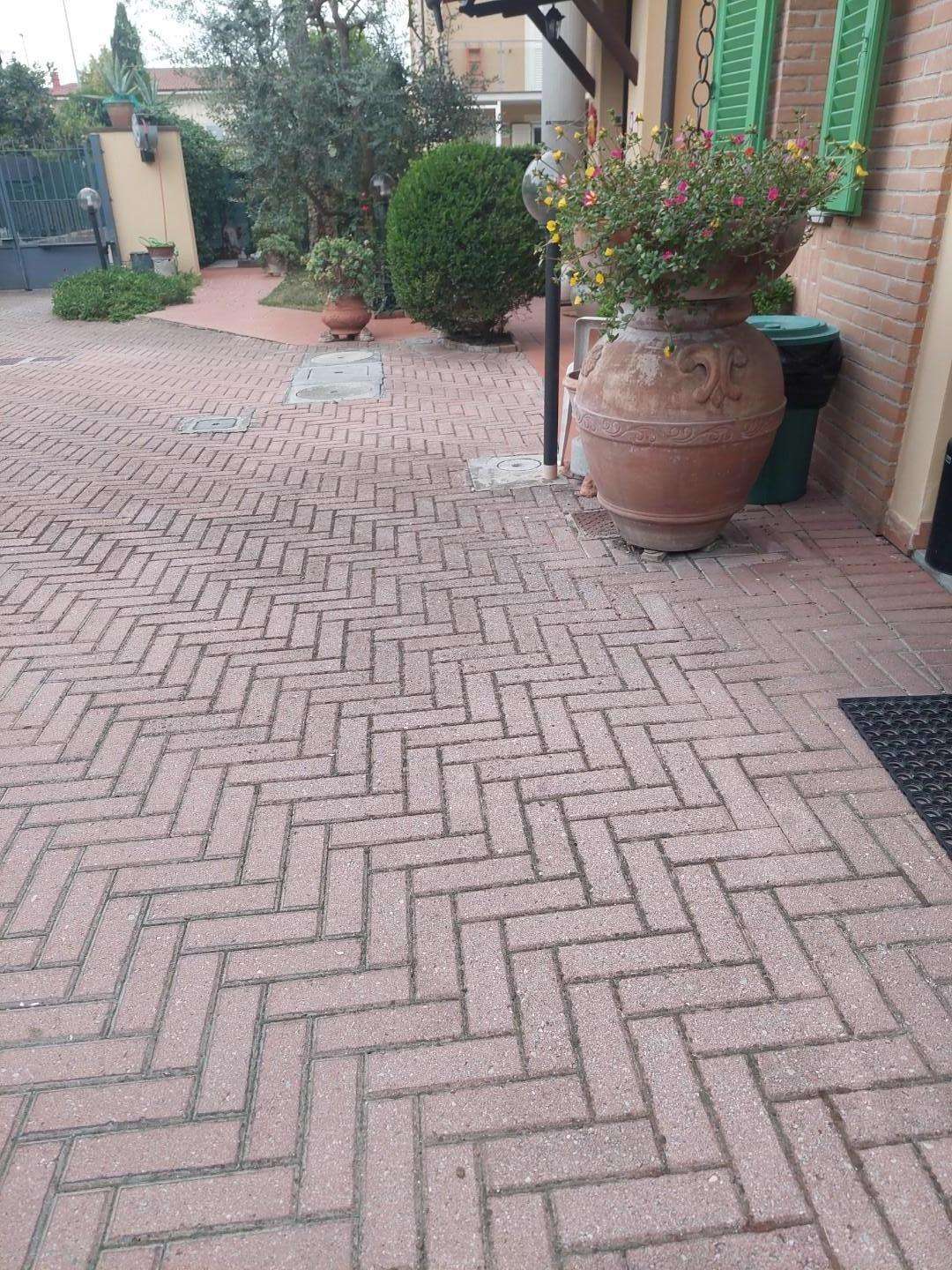  - foto 25
