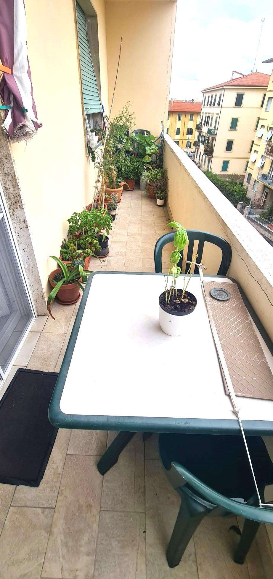  - foto 10