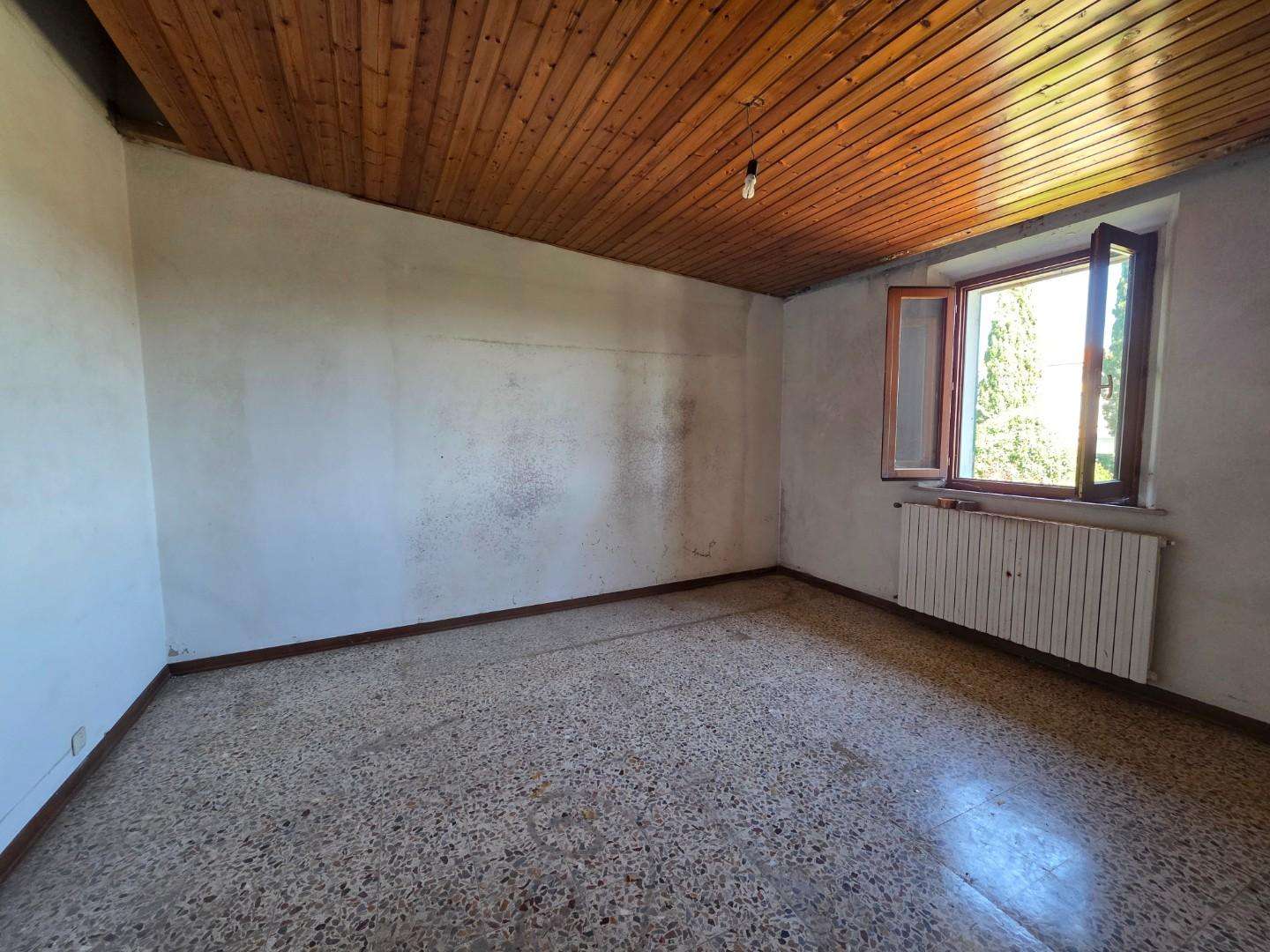  - foto 28