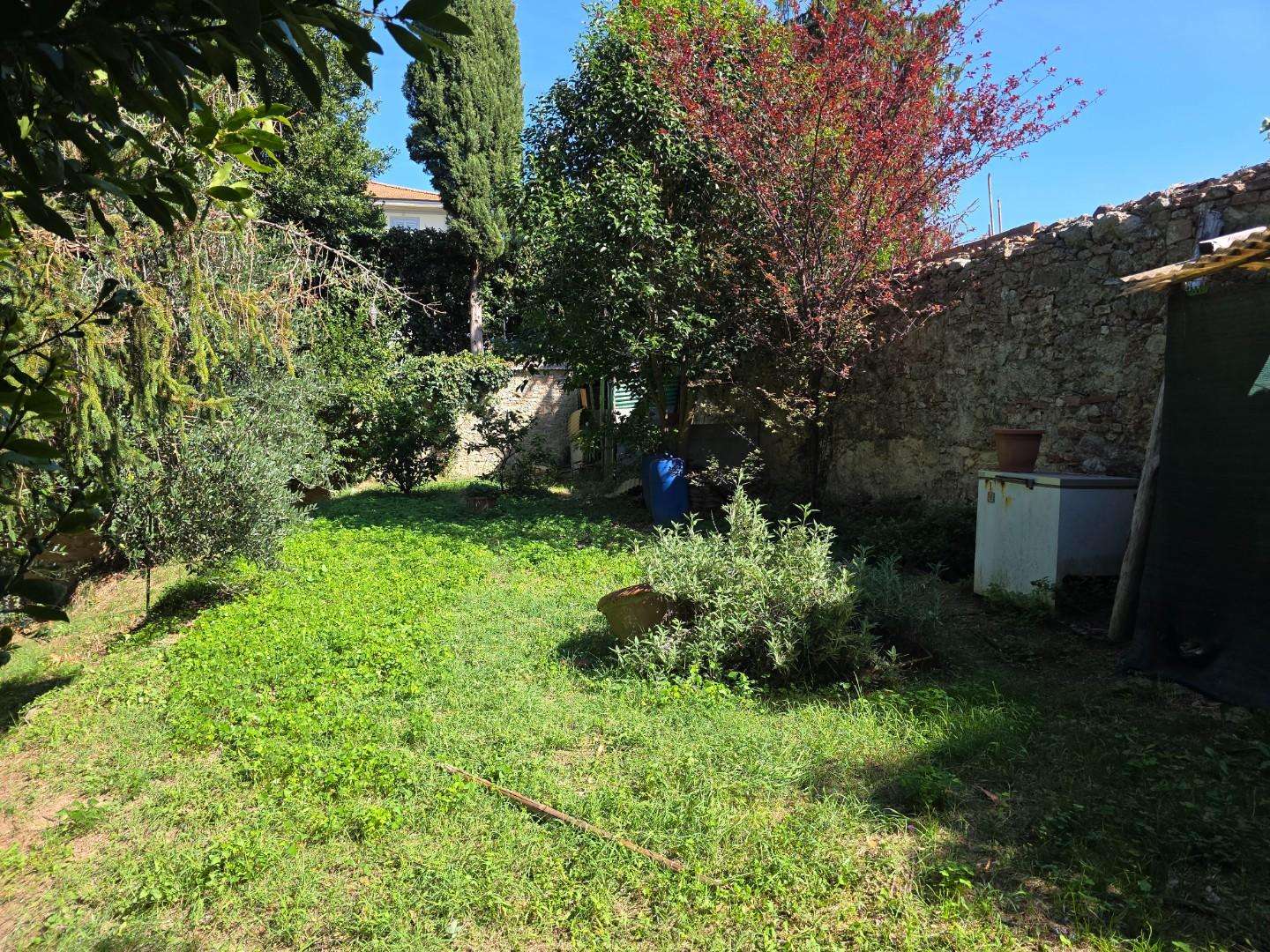  - foto 4